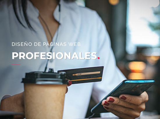 Consultor de Imagen